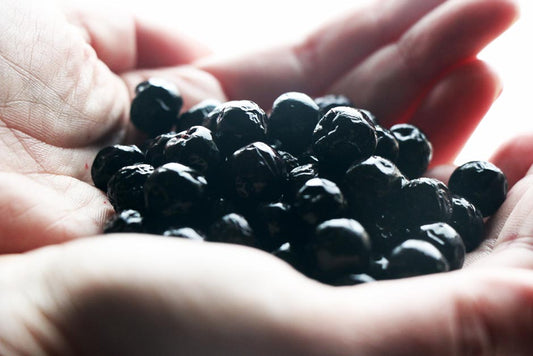 Aronia Berries in a person's hand