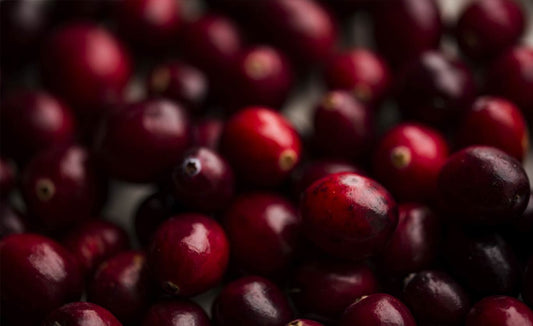 How Cranberry Helps Fight UTIs