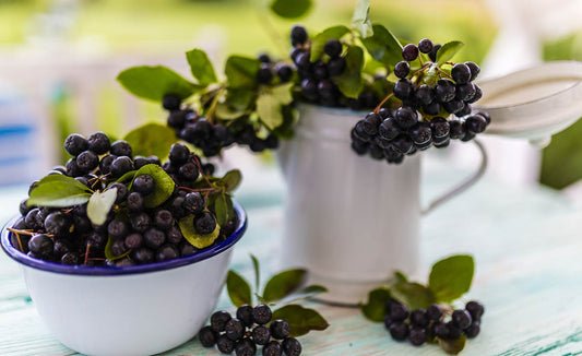 The Powerhouse of Polyphenol-Rich Superfoods