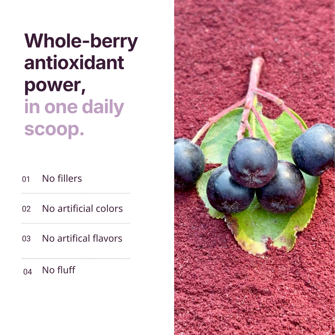 Aronia Berry Powder