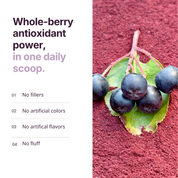 Aronia Berry Powder
