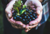 Aronia Berry Powder