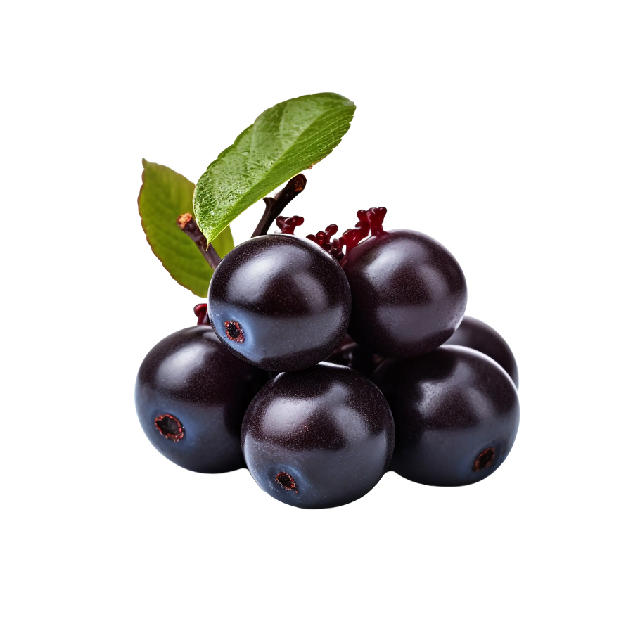 Aronia berry